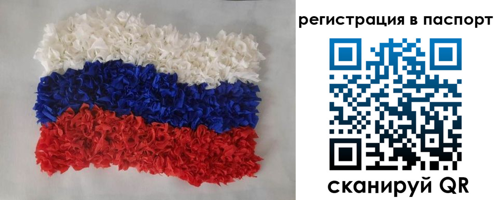 прописка регистрация в Опочке